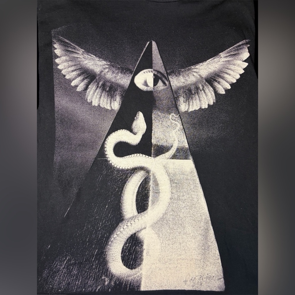 Ring of Fire Illuminati Graphic t-shirt, Black base color, gray art,Men’s Medium